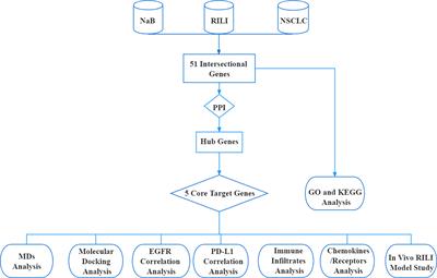 Prediction of the Mechanism of Sodium Butyrate against Radiation-Induced Lung Injury in Non-Small Cell Lung Cancer Based on Network Pharmacology and Molecular Dynamic Simulations